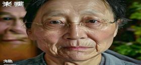 桃乃木文化解读视频截图，专业评论人深度分析桃乃木的IP价值与粉丝经济模型